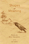 Shapes of Meaning
