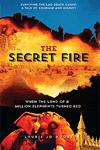 The Secret Fire by Laurie Jo Moore