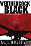 Weathercock Black by M.J. Bruty