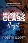 Working Class Angel by Robert Scott