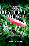 One Beautiful Thing by Carol Davis